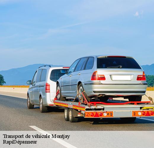 7446426-transport-de-vehicule-rapidepanneur-1