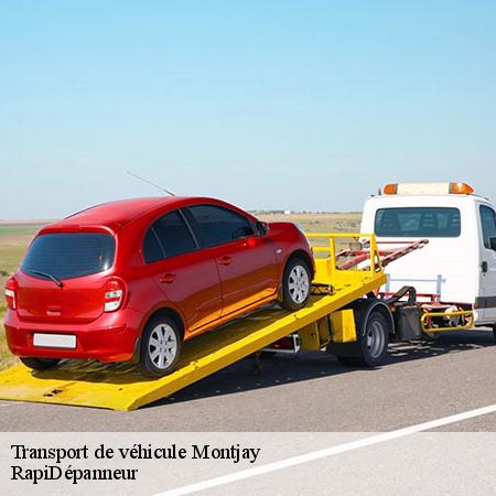 7446426-transport-de-vehicule-rapidepanneur-10