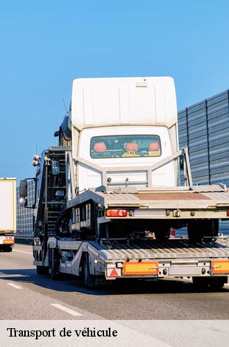 7446426-transport-de-vehicule-rapidepanneur-3