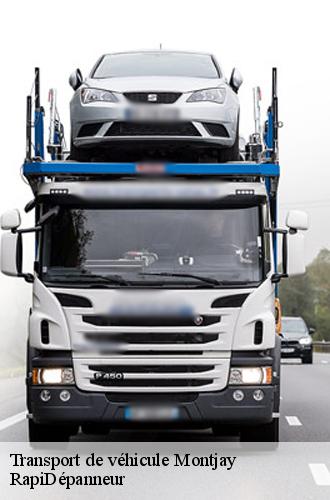 7446426-transport-de-vehicule-rapidepanneur-4